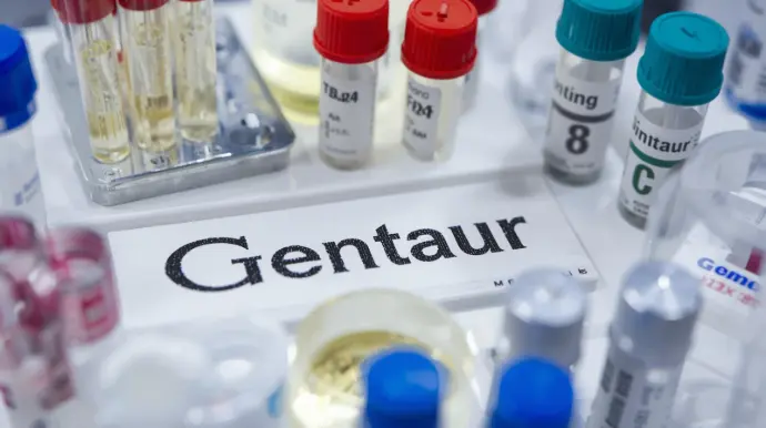 MiniSizer 50bp DNA Ladder, 100 Loads