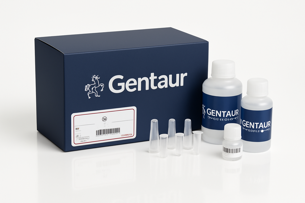  PCR/Gel Purification Kit
