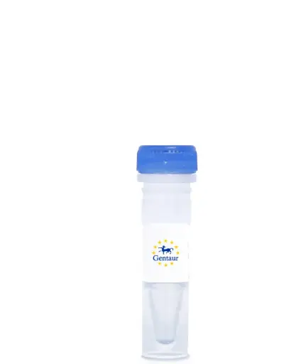 [ZAY-G-1456] Human Universal Reference Total RNA - 1x0.05 mg